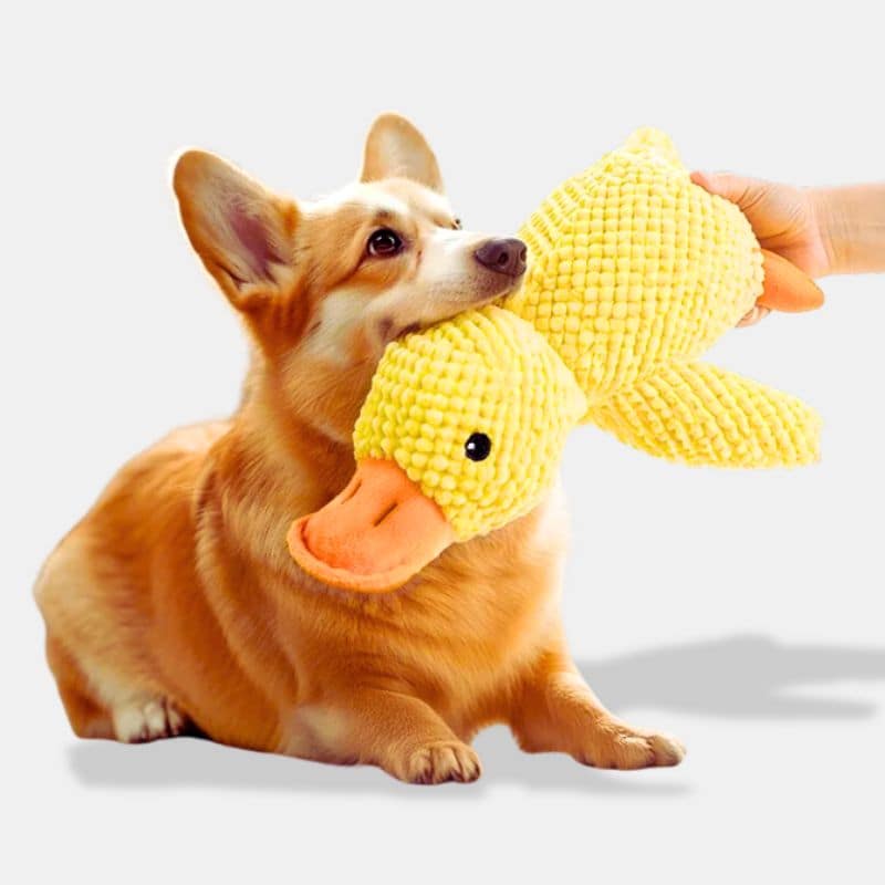 Duck Plush Dog Toy