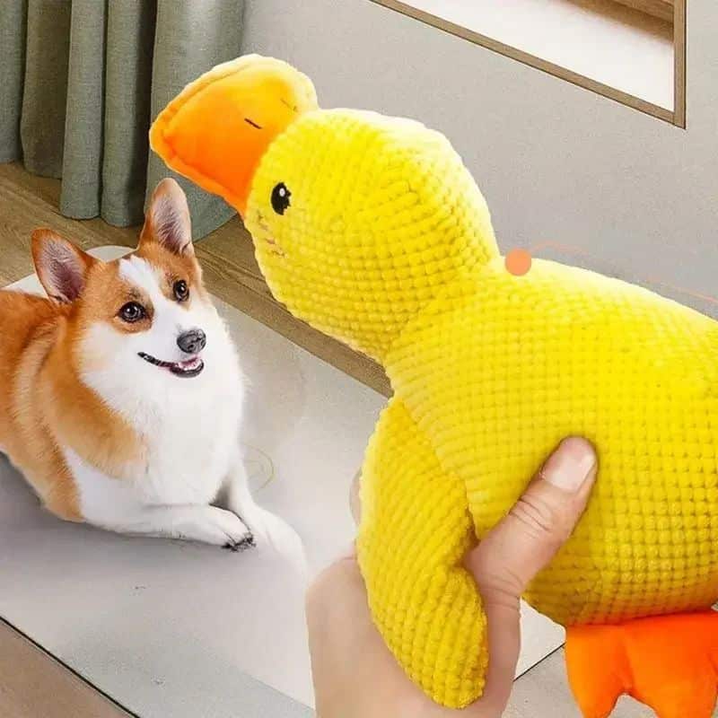 Duck Plush Dog Toy