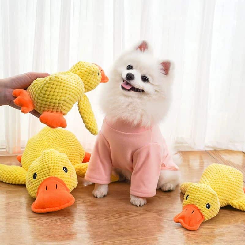 Duck Plush Dog Toy