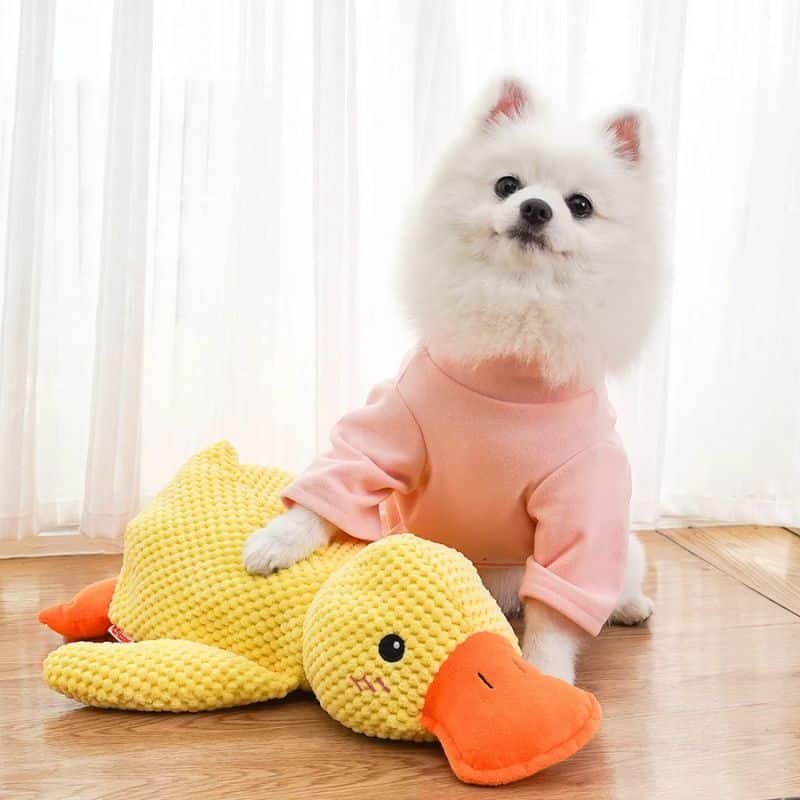 Duck Plush Dog Toy