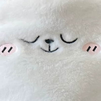 Bear Plush Toy