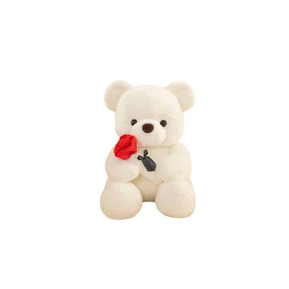Valentine's Day Bear Stuffed Animal