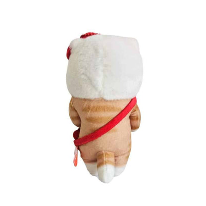 Cat Stuffed Animal in a Hello Kitty Costume
