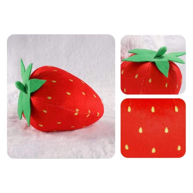 Strawberry Plush Toy