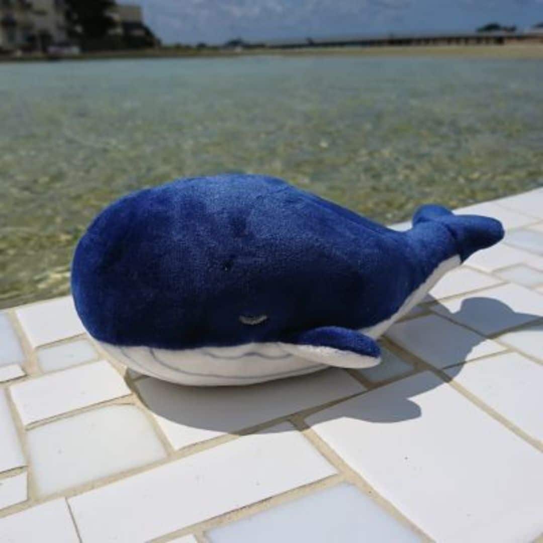 Whale Cuddle Plush