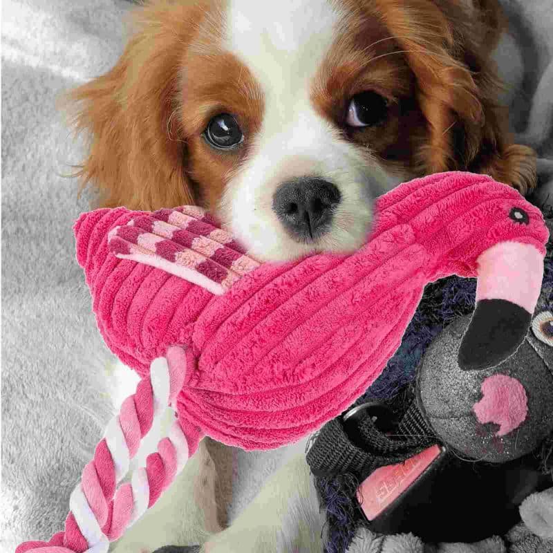 Flamingo Plush Pet Toy
