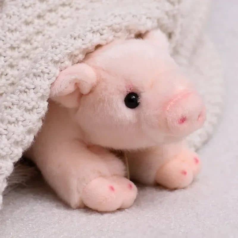Pig Stuffed Animal - Lying Down