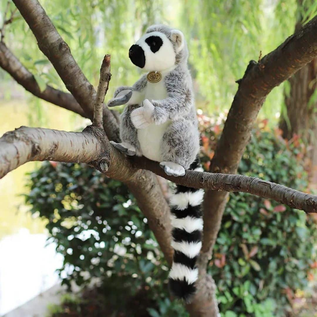 Lemur Stuffed Animal