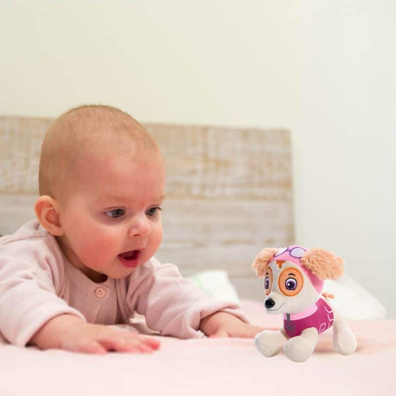 PAW Patrol Skye Plush Toy
