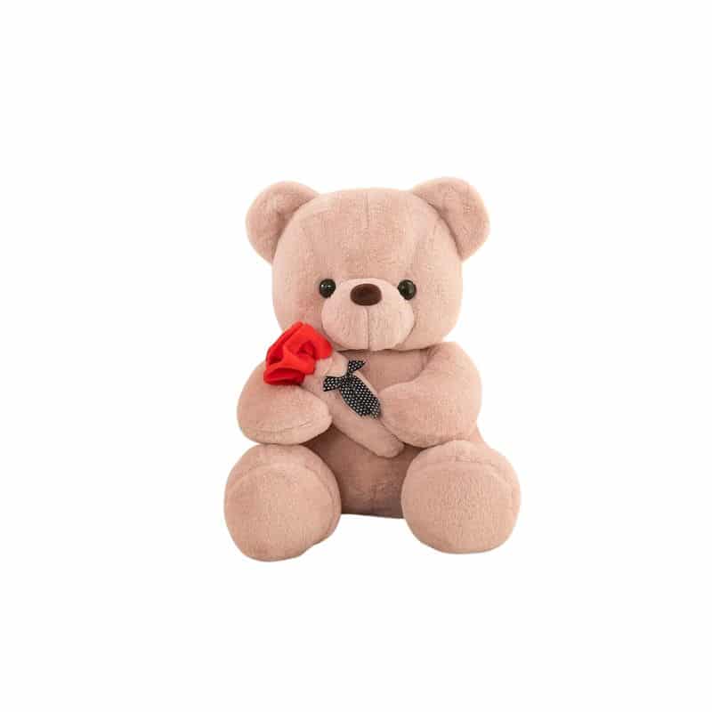 Valentine's Day Bear Stuffed Animal