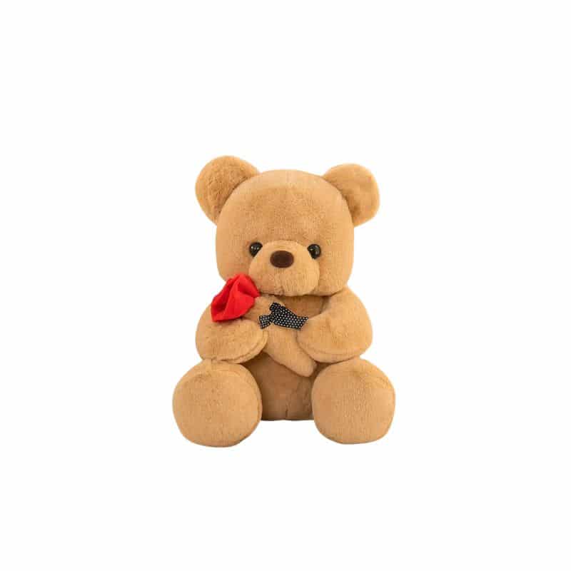 Valentine's Day Bear Stuffed Animal