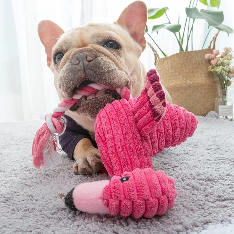 Flamingo Plush Pet Toy
