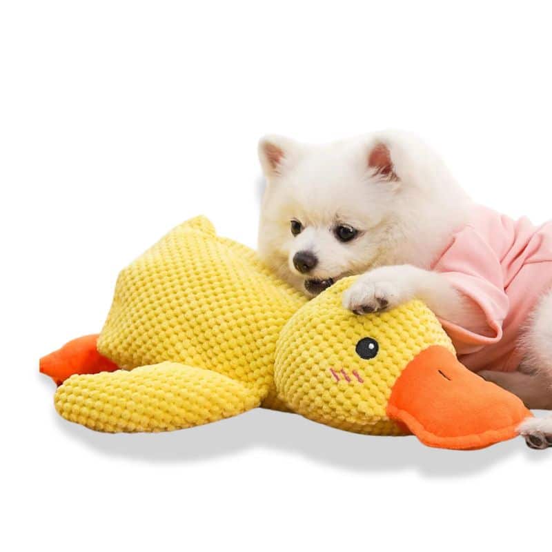 Duck Plush Dog Toy