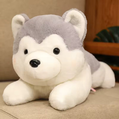 Dog Plush