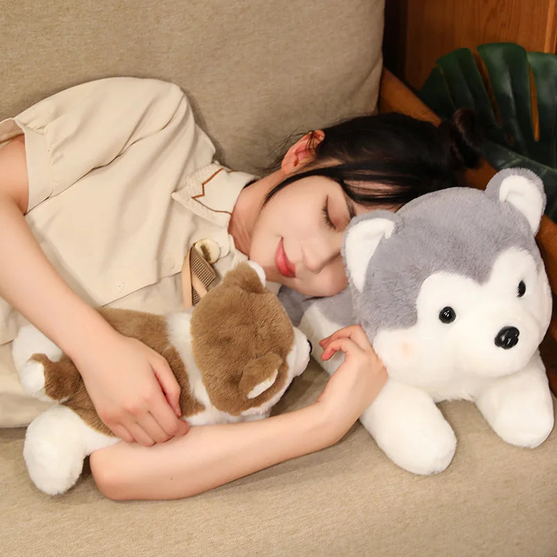 Dog Plush