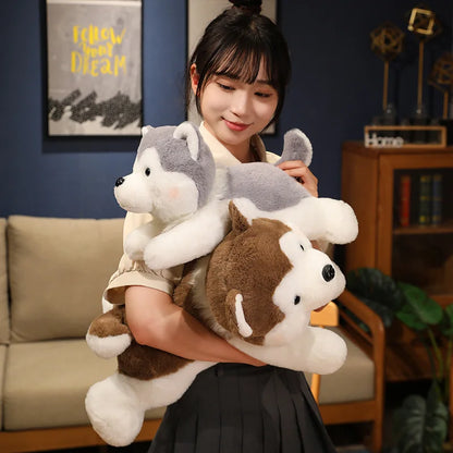 Dog Plush